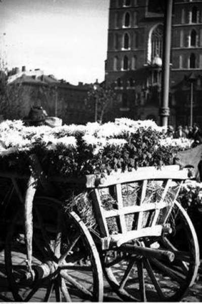 Kwiaciarki na Rynku Głównym: tak to kiedyś wyglądało... - zdjęcie 2