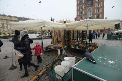 Stoisko kwiaciarek na Rynku: z tym uzupełnieniem wygląda lepiej? - zdjęcie 7