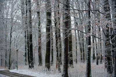 Zimowy spacer tuż koło Krakowa. Spokój, cisza, odpoczynek... - zdjęcie 7