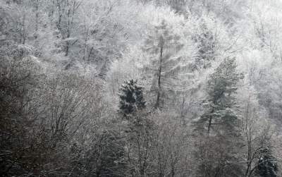 Zimowy spacer tuż koło Krakowa. Spokój, cisza, odpoczynek... - zdjęcie 6