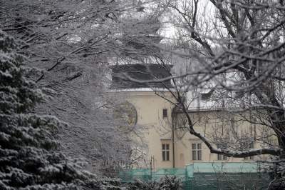 Zimowy spacer tuż koło Krakowa. Spokój, cisza, odpoczynek... - zdjęcie 8