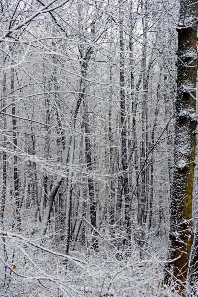 Zimowy spacer tuż koło Krakowa. Spokój, cisza, odpoczynek... - zdjęcie 9