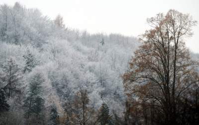 Zimowy spacer tuż koło Krakowa. Spokój, cisza, odpoczynek... - zdjęcie 5