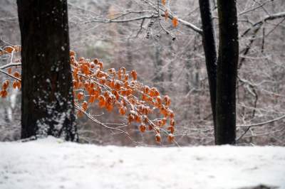 Zimowy spacer tuż koło Krakowa. Spokój, cisza, odpoczynek... - zdjęcie 10