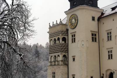 Zimowy spacer tuż koło Krakowa. Spokój, cisza, odpoczynek... - zdjęcie 15