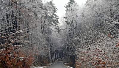 Zimowy spacer tuż koło Krakowa. Spokój, cisza, odpoczynek... - zdjęcie 23