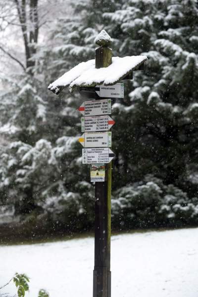 Zimowy spacer tuż koło Krakowa. Spokój, cisza, odpoczynek... - zdjęcie 11