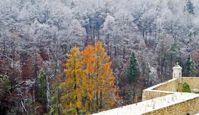 Zimowy spacer tuż koło Krakowa. Spokój, cisza, odpoczynek... - zdjęcie 22