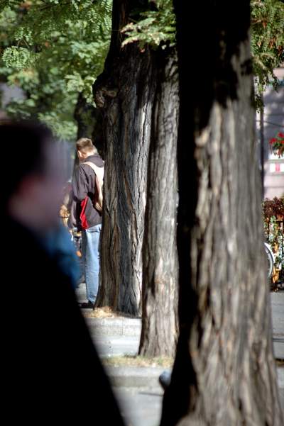 Drzewa na Rynku Głównym, pierwsza dekada XXI wieku - zdjęcie 4