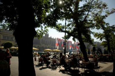 Drzewa na Rynku Głównym, pierwsza dekada XXI wieku - zdjęcie 10