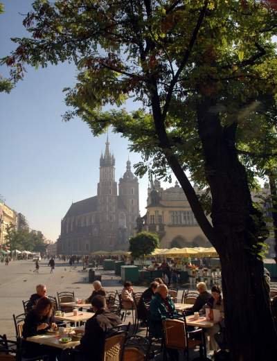 Drzewa na Rynku Głównym, pierwsza dekada XXI wieku - zdjęcie 11