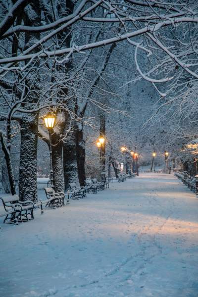 Synoptycy "dotrzymali słowa", zima w Krakowie na całego - zdjęcie 14