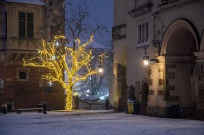 Synoptycy "dotrzymali słowa", zima w Krakowie na całego - zdjęcie 8