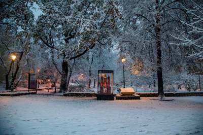 Synoptycy "dotrzymali słowa", zima w Krakowie na całego - zdjęcie 15