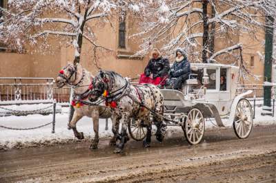 „My się zimy nie boimy”. Bywa ciężko, ale jest też pięknie - zdjęcie 1