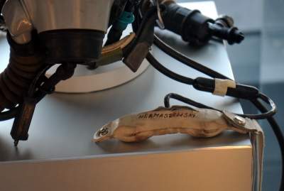 Nie żyje gen. Mirosław Hermaszewski, przypominamy nasze spotkanie w Krakowie - zdjęcie 2