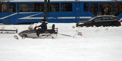 Wielkie wygniatanie na Błoniach... tras do biegania na nartach - zdjęcie 1