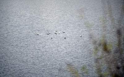 Kąpielisko Zakrzówek prawie gotowe, już zimą będą się tu kąpać - zdjęcie 8