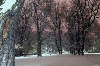 Z cyklu "nasz piękny Kraków". Na pewno rozpoznajecie ten park... - zdjęcie 3