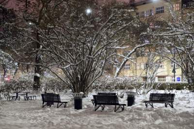 Z cyklu "nasz piękny Kraków". Na pewno rozpoznajecie ten park... - zdjęcie 9