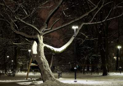 Z cyklu "nasz piękny Kraków". Na pewno rozpoznajecie ten park... - zdjęcie 21