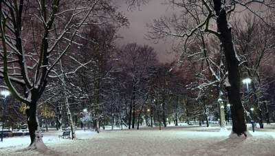 Z cyklu "nasz piękny Kraków". Na pewno rozpoznajecie ten park... - zdjęcie 17