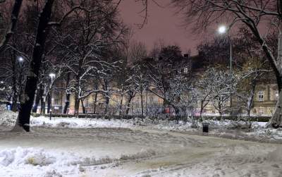Z cyklu "nasz piękny Kraków". Na pewno rozpoznajecie ten park... - zdjęcie 11