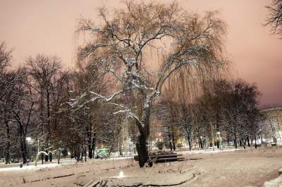 Z cyklu "nasz piękny Kraków". Na pewno rozpoznajecie ten park... - zdjęcie 10