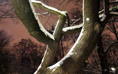 Z cyklu "nasz piękny Kraków". Na pewno rozpoznajecie ten park... - zdjęcie 23