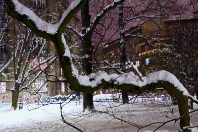 Z cyklu "nasz piękny Kraków". Na pewno rozpoznajecie ten park... - zdjęcie 19