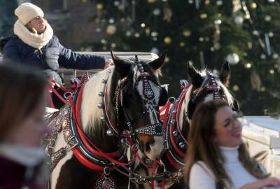 Tłumy zachwyconych gości, tak świętuje Kraków - zdjęcie 9
