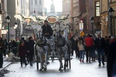 Tłumy zachwyconych gości, tak świętuje Kraków - zdjęcie 24
