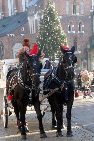 Tłumy zachwyconych gości, tak świętuje Kraków - zdjęcie 7