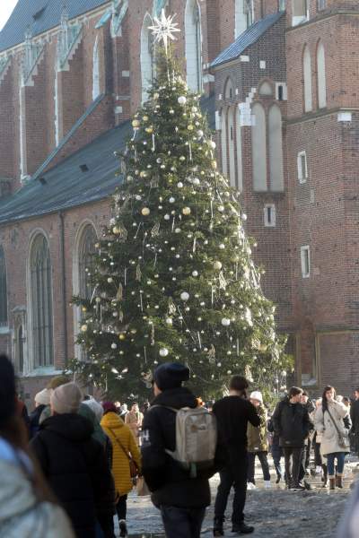 Tłumy zachwyconych gości, tak świętuje Kraków - zdjęcie 5