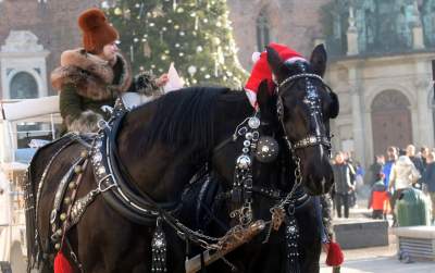 Tłumy zachwyconych gości, tak świętuje Kraków - zdjęcie 6