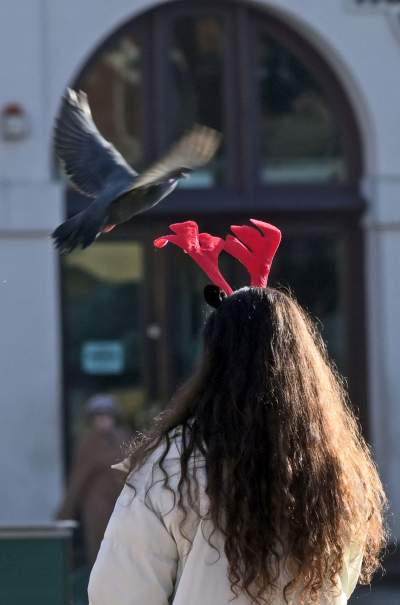 Tłumy zachwyconych gości, tak świętuje Kraków - zdjęcie 10
