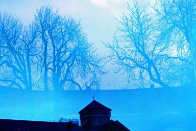 "Wyspia" instalacja na Wawelu inspirowana Wyspiańskim - zdjęcie 8