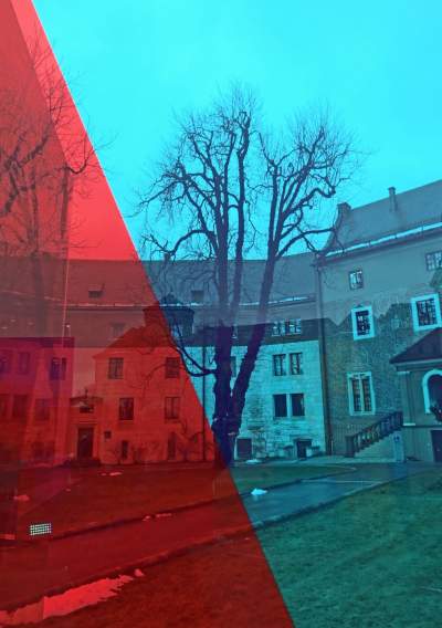 "Wyspia" instalacja na Wawelu inspirowana Wyspiańskim - zdjęcie 12