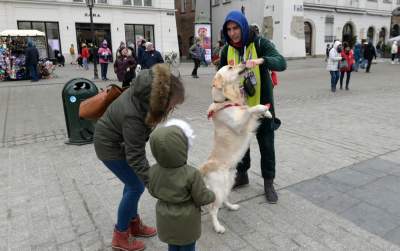 To więcęj niż kwesta, WOŚP 2023 na krakowskim Rynku, fot. Marek Lasyk - zdjęcie 19