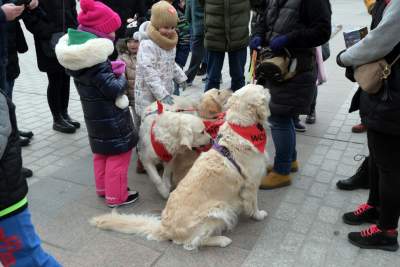To więcęj niż kwesta, WOŚP 2023 na krakowskim Rynku, fot. Marek Lasyk - zdjęcie 11