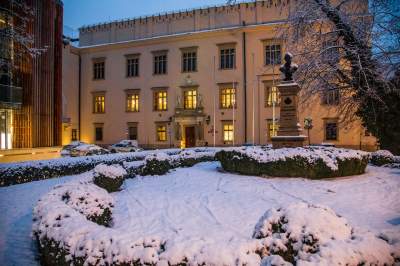 Śnieg, mróz czy plucha bez znaczenia, mieszkamy w cudownym mieście - zdjęcie 18