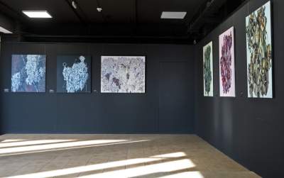 Od jego obrazów nie można oderwać oczu... - zdjęcie 12