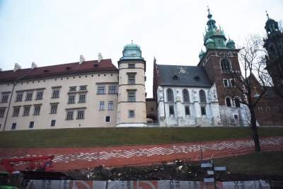 Trzy potężne drzewa pod Wawelem ścięte. Nie było innego wyjścia - zdjęcie 28
