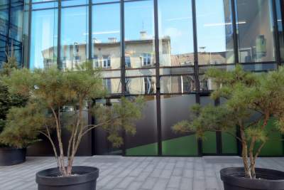 Oto najbrzydsza ulica Krakowa. Kiedy to się zmieni? - zdjęcie 29