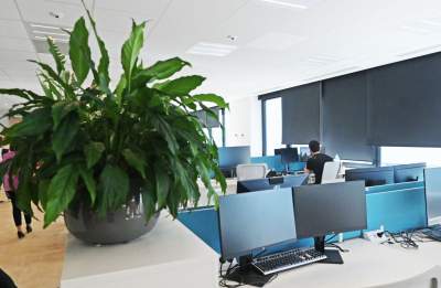 Shell znów rekrutuje. To tu będą pracować nowi zatrudnieni - zdjęcie 8