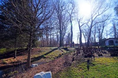 W Krakowie tutaj wiosnę znajdziecie najwcześniej, warto wpaść na chwilę - zdjęcie 17