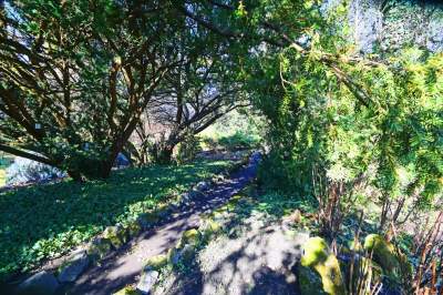 W Krakowie tutaj wiosnę znajdziecie najwcześniej, warto wpaść na chwilę - zdjęcie 24