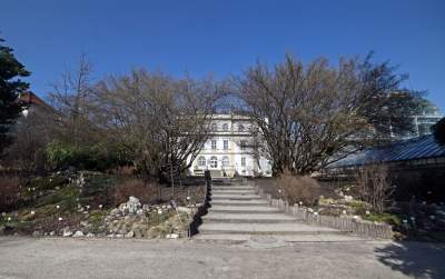 W Krakowie tutaj wiosnę znajdziecie najwcześniej, warto wpaść na chwilę - zdjęcie 7