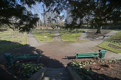 W Krakowie tutaj wiosnę znajdziecie najwcześniej, warto wpaść na chwilę - zdjęcie 25