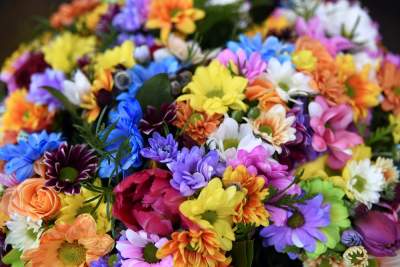 Które kwiaty lubicie najbardziej? Najlepsze życzenia z okazji Dnia Kobiet - zdjęcie 2